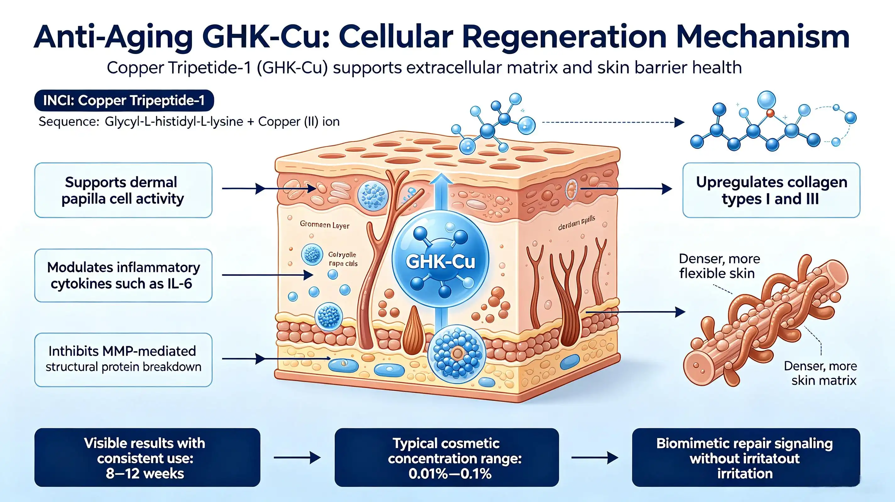 GHK-Cu: The Copper Peptide Revolutionizing Regenerative and Anti-Aging Medicine GHK-Cu: The Copper Peptide Revolutionizing Regenerative and Anti-Aging Medicine